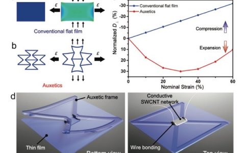 南洋理工大学Adv. Mater.: 拉胀机械超材料用于增强拉伸应变传感器的灵敏度