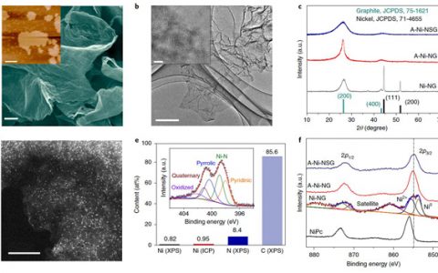 中科院大连化物所张涛院士Nature Energy:原子分散Ni(I)作为CO2还原反应的活性位点