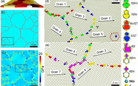 厦门大学Nano Lett.:二硫化钼的反赝霍尔•佩奇效应