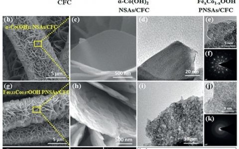 中山大学Angew. Chem. Int. Ed.：通过部分Fe离子置换活化CoOOH多孔纳米片阵列用于有效催化OER