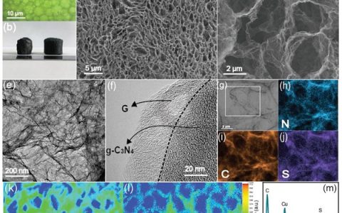 Adv. Energy Mater. : 微乳液诱导合成3D多孔硫/石墨烯@g-C3N4复合海绵作为自支撑正极用于高能量密度Li–S电池