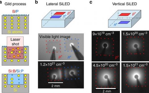 Nat. Commun.：硅光发射二极管中的室温磁光效应