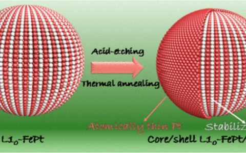 布朗大学孙守恒JACS.：金属间化合的L10-FePt对Fe的稳定作用和Pt催化增强L10-FePt/Pt纳米粒子燃料电池高效氧还原反应