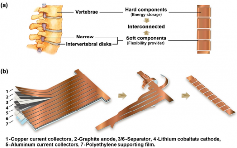 哥大杨远Adv.Mater.专访： 新成果让我们离柔性锂电池更近一步