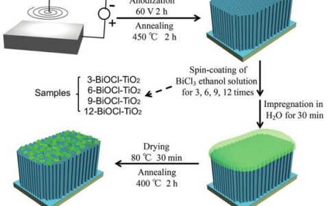 Adv. Funct. Mater.: 高性能BiOCl纳米片/TiO2纳米管阵列异质结UV光探测器——BiOCl纳米片自引发内建电场影响
