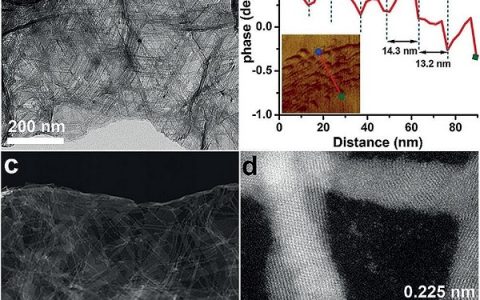Angew Chem. Int. Ed.：超薄Pd电催化剂