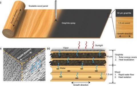 马里兰大学胡良兵Adv. Funct. Mater.：高效的介孔木质太阳能蒸汽发生装置