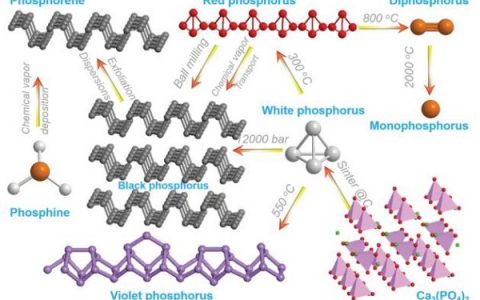 重磅AEM综述:  一文尽览黑磷烯在能源转换和存储上的应用