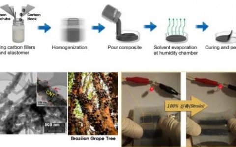 世界上首个可拉伸水性锂离子电池——可穿戴设备的动力之源