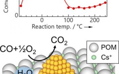 在分子载体上使用纳米金颗粒超高效去除CO