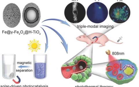 中科院长春应化所Adv. Mater.:多功能纳米复合材料Fe@γ-Fe2O3@H-TiO2的多面应用——从光催化到多模态成像介导的癌症光热治疗