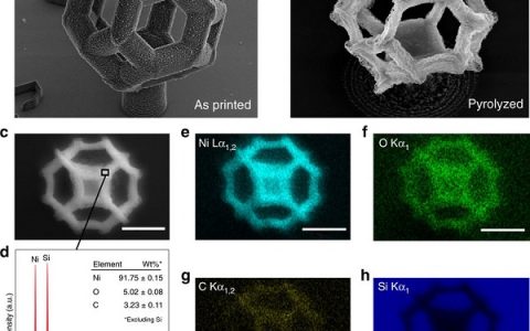 Nat.Commun.:增材制造新工艺打印金属纳米结构