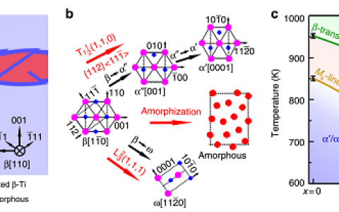 中科院金属所Nature子刊：β-Ti合金中的马氏体相变致非晶化机制