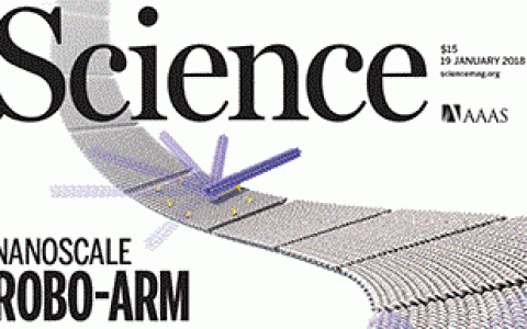 顶刊封面: 一月材料领域优秀成果十大精选