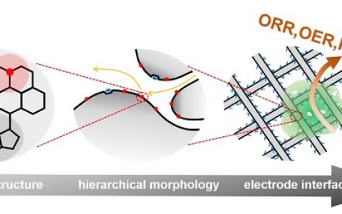 清华大学张强ACR综述：提高涉气能源电催化性能的多尺度原则
