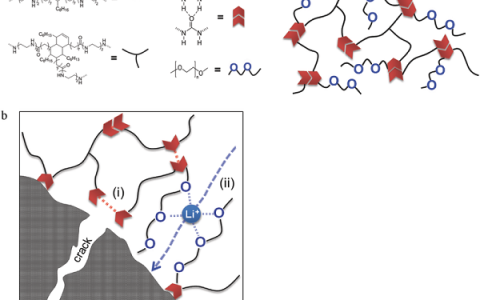 斯坦福崔屹&鲍哲楠Adv.Energ.Mater.：高离子导电性自修复粘结剂用于锂电硅负极