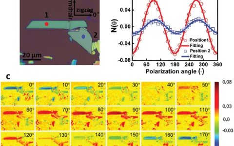 Adv. Funct. Mater.：2D GeAs高度的面内光、电各向异性