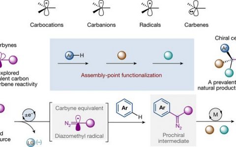 今日Nature：光催化碳炔类似物的生成及功能化