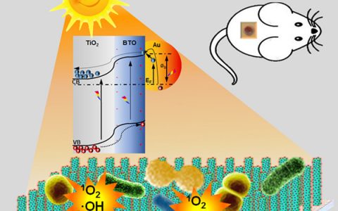 北京纳米能源所Nano Energy：压电光电子学效应提高抗菌和伤口愈合