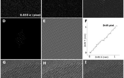 最新Science: 电子束敏感材料的原子级分辨率TEM成像
