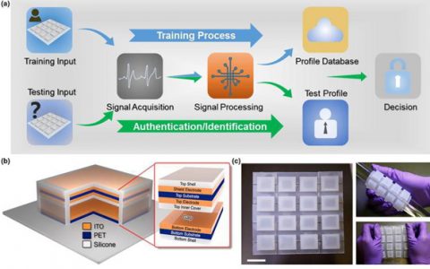 中科院北京纳米能源所王中林院士Materials Today：摩擦纳米发电机阵列结合机器学习助力自供能人机交互系统安全