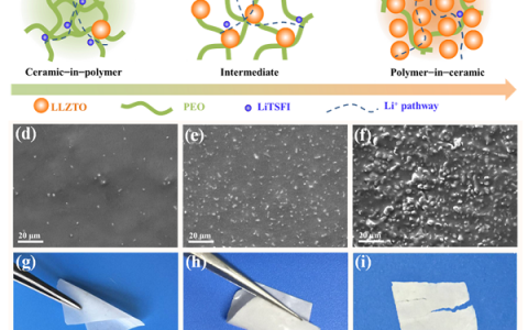 北科大范丽珍Nano Energy： 固态锂电池用PEO/Garnet复合型固体电解质