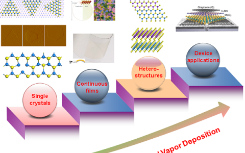清华-伯克利深圳学院成会明、刘碧录团队Chemical Reviews综述：二维材料及其异质结构的化学气相沉积法生长和应用