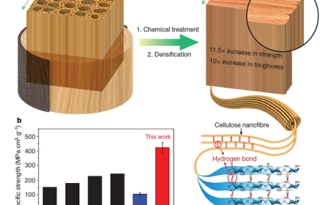 胡良兵今日Nature:小小木材到高性能结构材料的飞跃