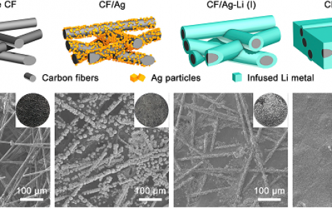 清华大学张强Joule：珊瑚状碳纤维熔融灌锂的复合锂金属负极