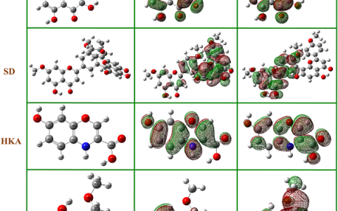 重庆大学张胜涛教授Corros. Sci.：银杏叶提取剂——X70钢在盐酸中的有效缓蚀剂