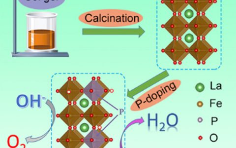 Nano Energy:调控磷掺杂LaFeO3-δ钙钛矿作为在碱性溶液中高效耐久的双功能电催化剂