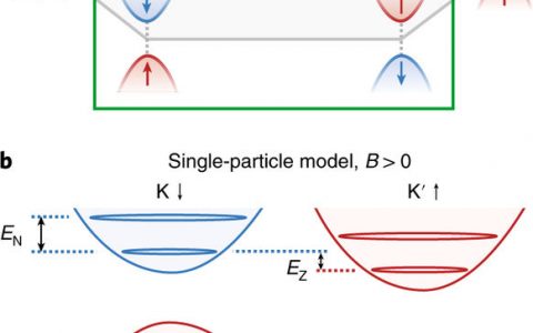 Nat. Mater.：双极性朗道能级水平和单层WSe2中的强选择性载体相互作用