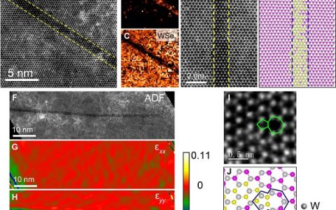 Sci. Adv.: 二维平面量子阱超晶格的位错驱动生长