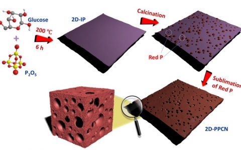 ACS Catalysis：基于五氧化二磷多功能模板法合成二维磷掺杂碳纳米片及其在锌空电池中的应用研究