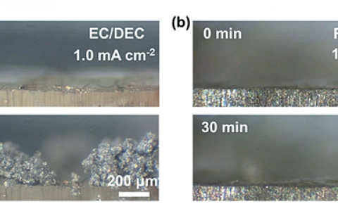 清华大学张强Angew. Chem. Int. Ed.：调控锂离子溶剂化层，增强锂金属电池稳定性