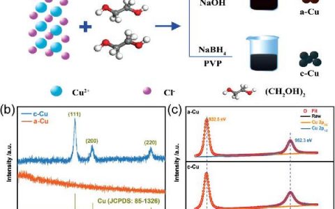 吉大鄢俊敏Adv. Mater. : 高活高效非晶态铜纳米颗粒及其电催化还原CO2制液体燃料