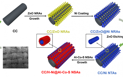 南昌大学ACS Nano：铝掺杂结合镍纳米管阵列策略大幅提高超级电容器倍率性能