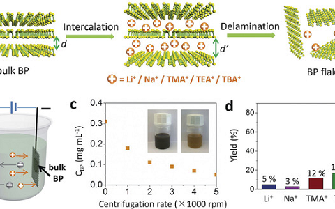 冯新亮Angew. Chem. Int. Ed.：带你了解神秘的黑鳞——新型光电子材料