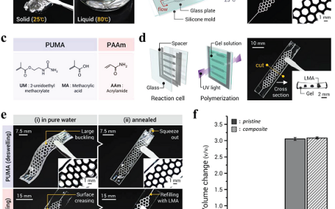 Adv. Mater.:基于低熔点合金的结构功能一体化水凝胶复合材料