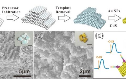 武汉理工Nano Energy: 蓝边慢光子效应促进三元梯度3DOM TiO2-Au-CdS光子晶体可见光产氢
