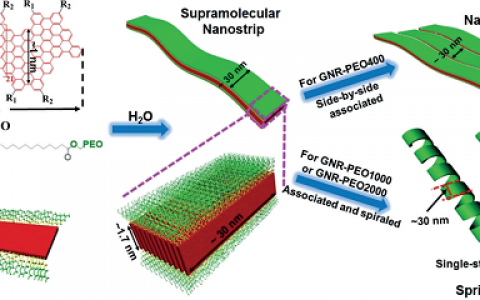 华东理工贺晓鹏&上交麦亦勇 Angew. Chem. Int. Ed：水相中石墨烯纳米带的超分子纳米结构研究