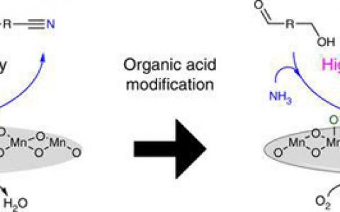 Nat. Commun.:用于可选择调节的好氧氨氧化的羧酸改性金属氧化物催化剂