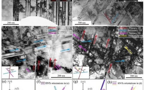 Acta Mater.：“鱼翅”与“熊掌”兼得的多级纳米孪晶材料
