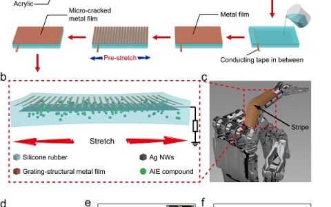 Advanced Materials：可拉伸摩擦电-光智能皮肤用于触觉和手势传感