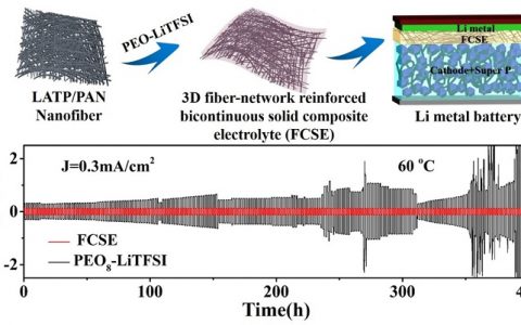 北科大范丽珍ACS AMI：固态锂电池用三维双相导锂复合固体电解质
