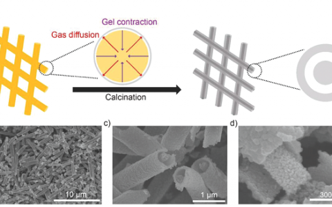 浙江大学Adv. Funct. Mater.：一维管/线结构SnO2高选择性电催化还原CO2