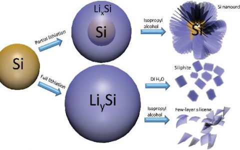 南洋理工王昕Adv. Mater. : 锂化/脱锂制备寡层硅烯状纳米片用于可充锂氧电池
