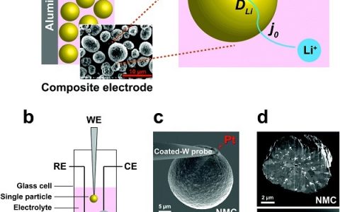 Energy Environ. Sci.: 单粒子测量锂离子电池的NMC和NCA阴极的电化学动力学