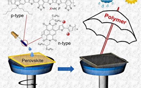 苏州大学马万里团队Adv. Funct. Mater.：共轭聚合物助力钙钛矿电池效率及稳定性