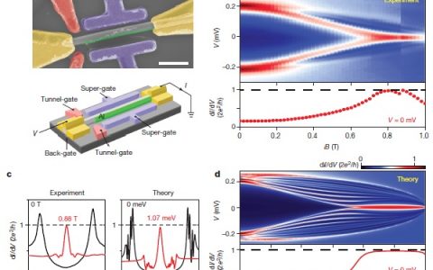 今日Nature:天使费米子的又一重大进展-量子化马约拉纳电导模型